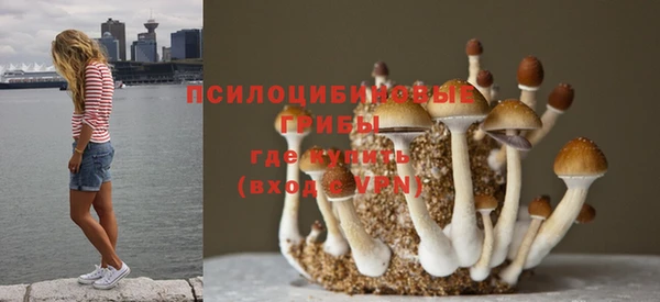 героин Инсар