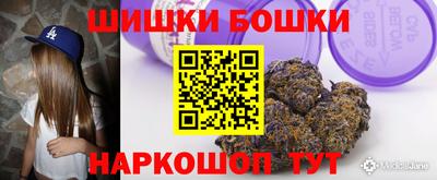 мдпв Партизанск